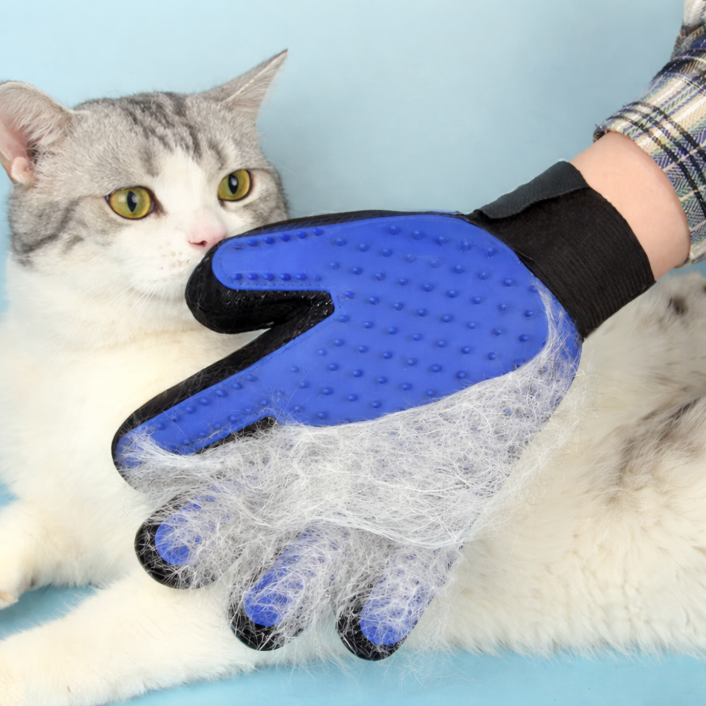 grooming glove full of fur