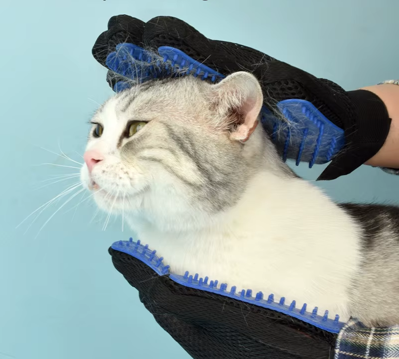 grooming glove petting a cat