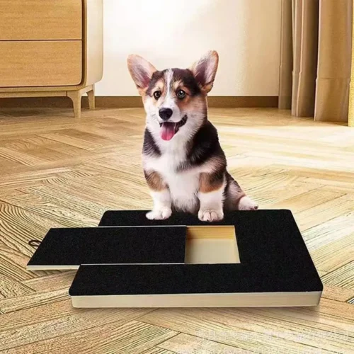 S2c3e14d77bc84ec1bc97397a74bc9a6aU.webp dog sitting on the scratcher board