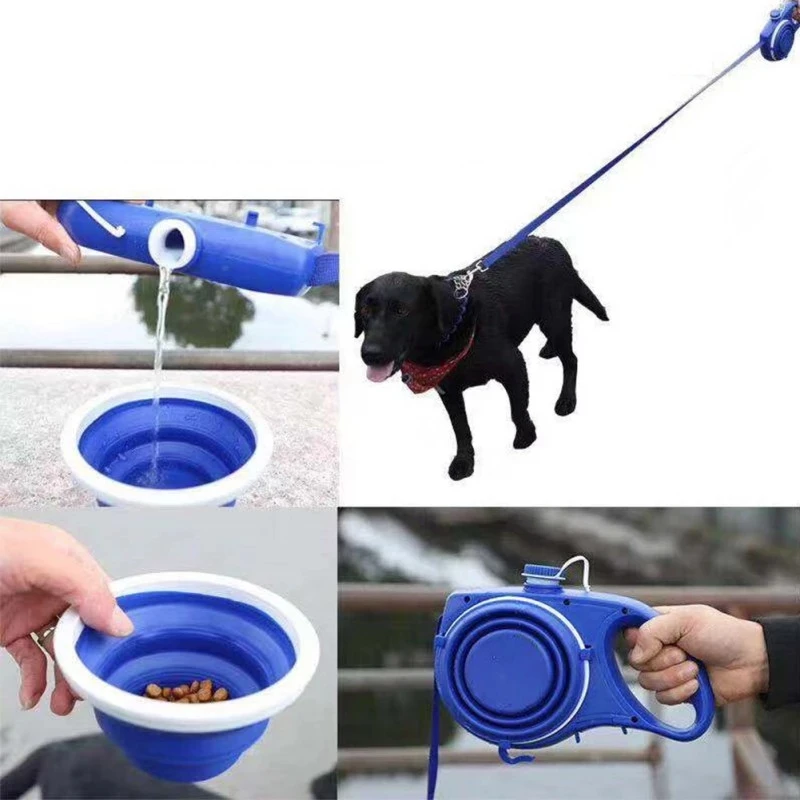 dog leash usages