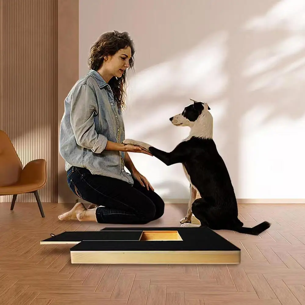 woman playing with her dog next to a scratcher board