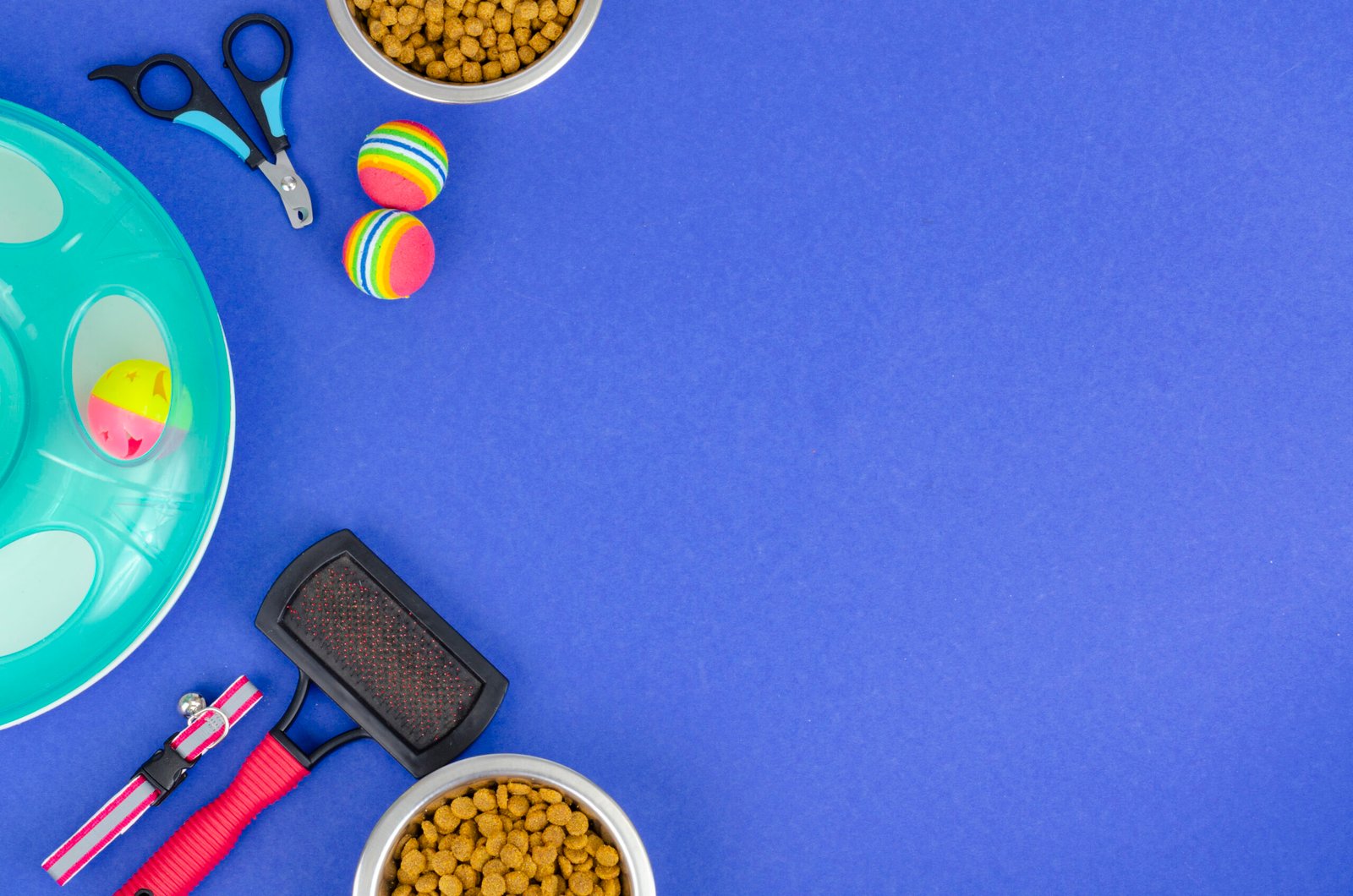 Background of bowls with food, toys and pet care items, top view. Photo